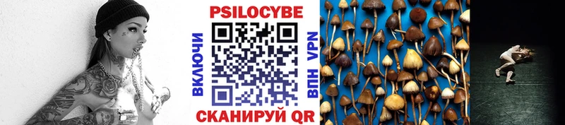 KRAKEN зеркало  Бокситогорск  Галлюциногенные грибы Cubensis 