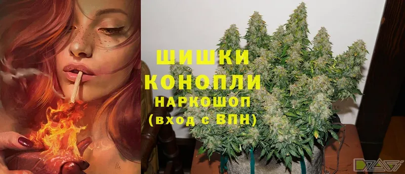 где купить наркотик  Бокситогорск  Марихуана THC 21% 